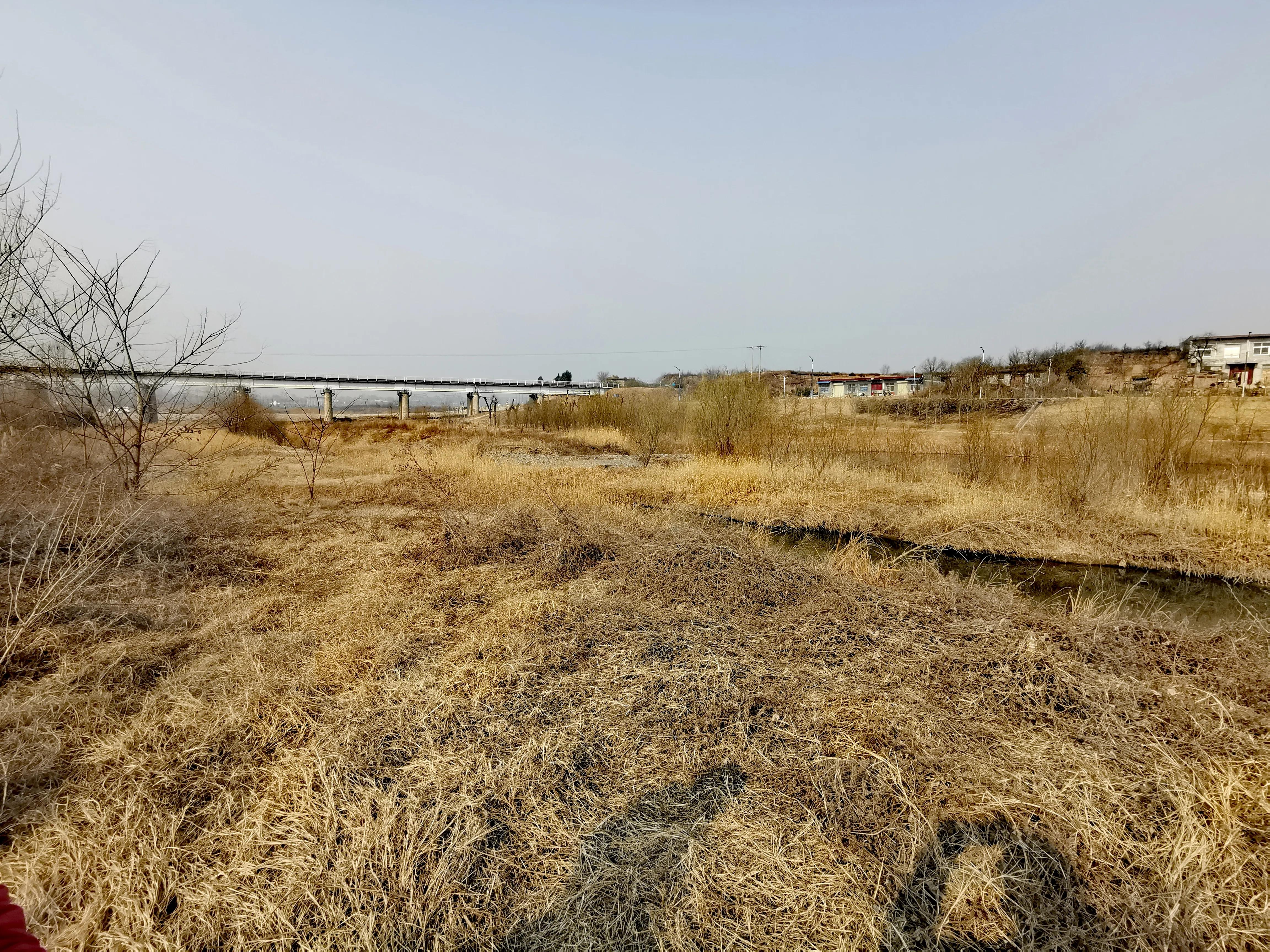 大年初一逛栎阳湖湿地公园,柳色遥看近吐绿,春归石川河!