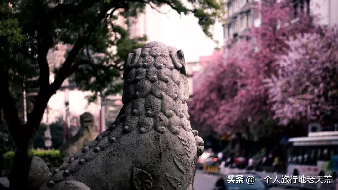 广西哪些城市是靠一碗粉火起来的,凭一碗螺蛳粉征服世界