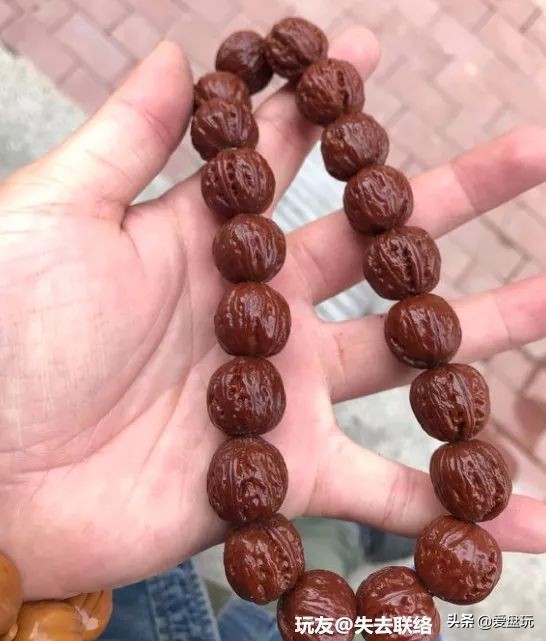 放了2年的凤眼，翻出来，虫子能组一个篮球队了