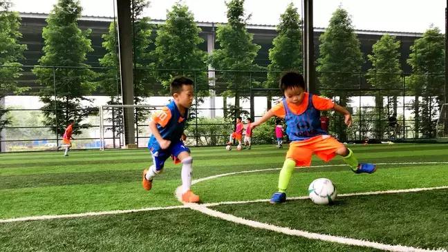 太阳青训直播间,太阳青训训练