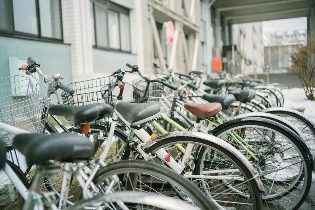 遇见世界|离开北海道的第224天