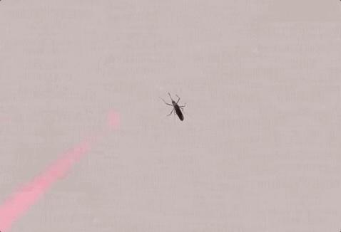 上海全新智能防蚊系统展示,谷歌灭蚊子新技术