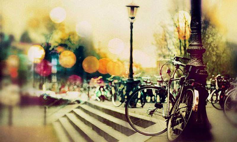 最新最全各类纪念日,不同国家的纪念日