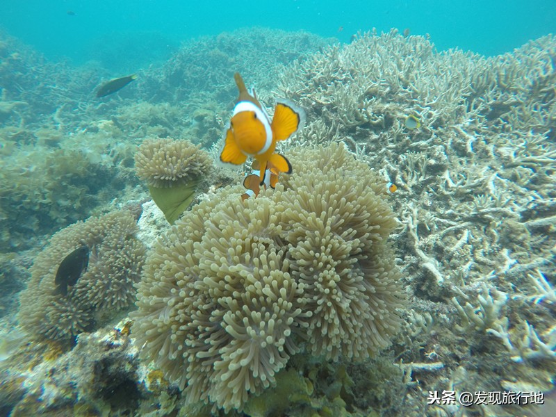 沙巴海边旅游美食有哪些,马来西亚沙巴必去的地方