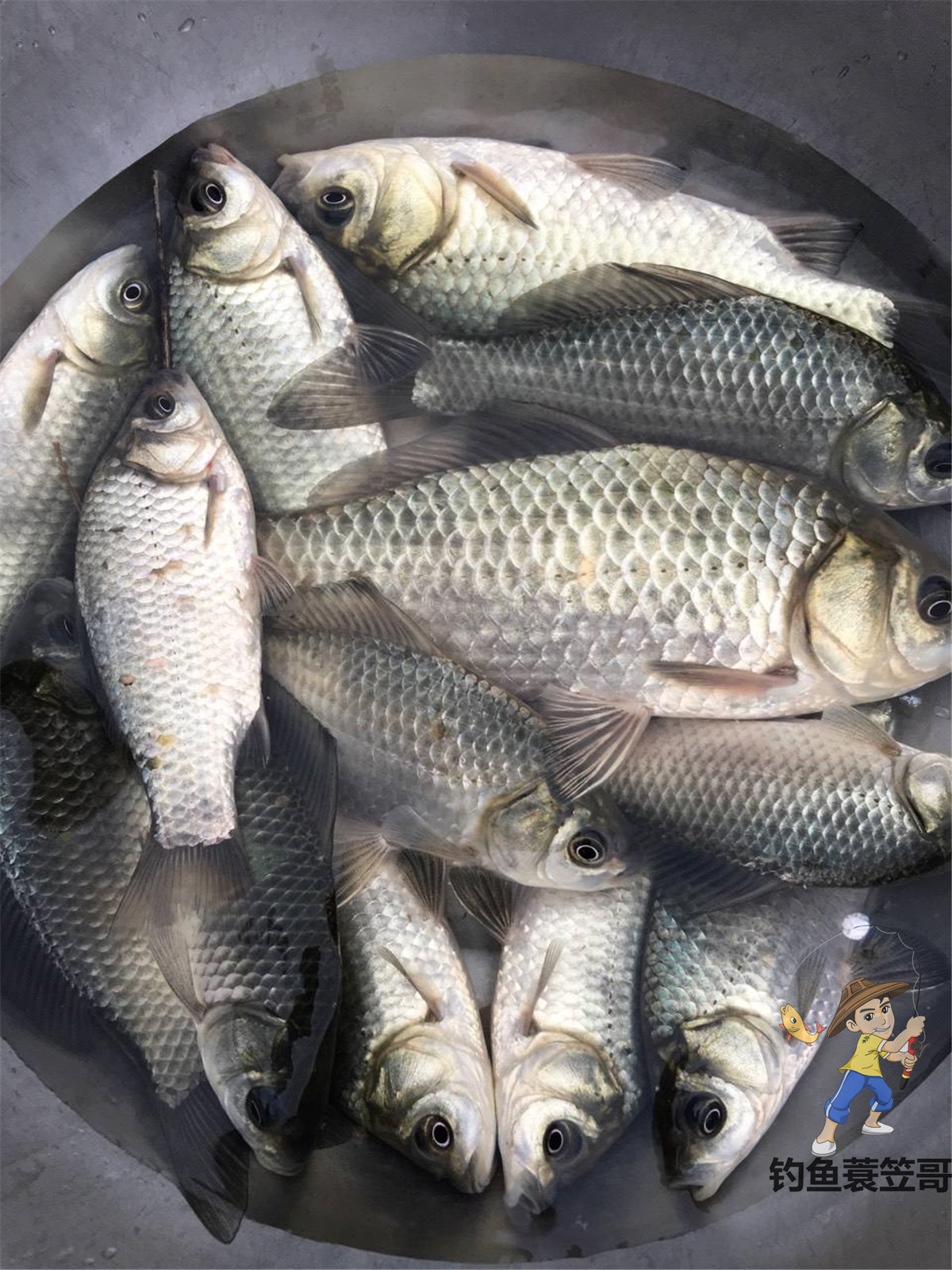 鱼钩应该怎样选择和使用,教你如何选择最好的鱼钩