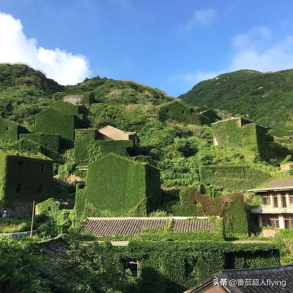 嵊泗岛枸杞岛无人村 (嵊泗枸杞海岛)