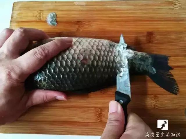 「生活妙招」今天教大家这几招，去除鱼鳞简直太容易了