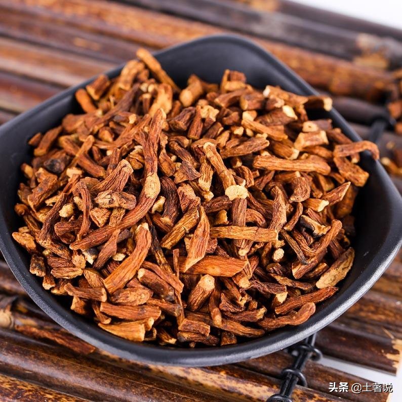 野菜蒲公英图片及识别方法,蒲公英野菜大全配图片和名字