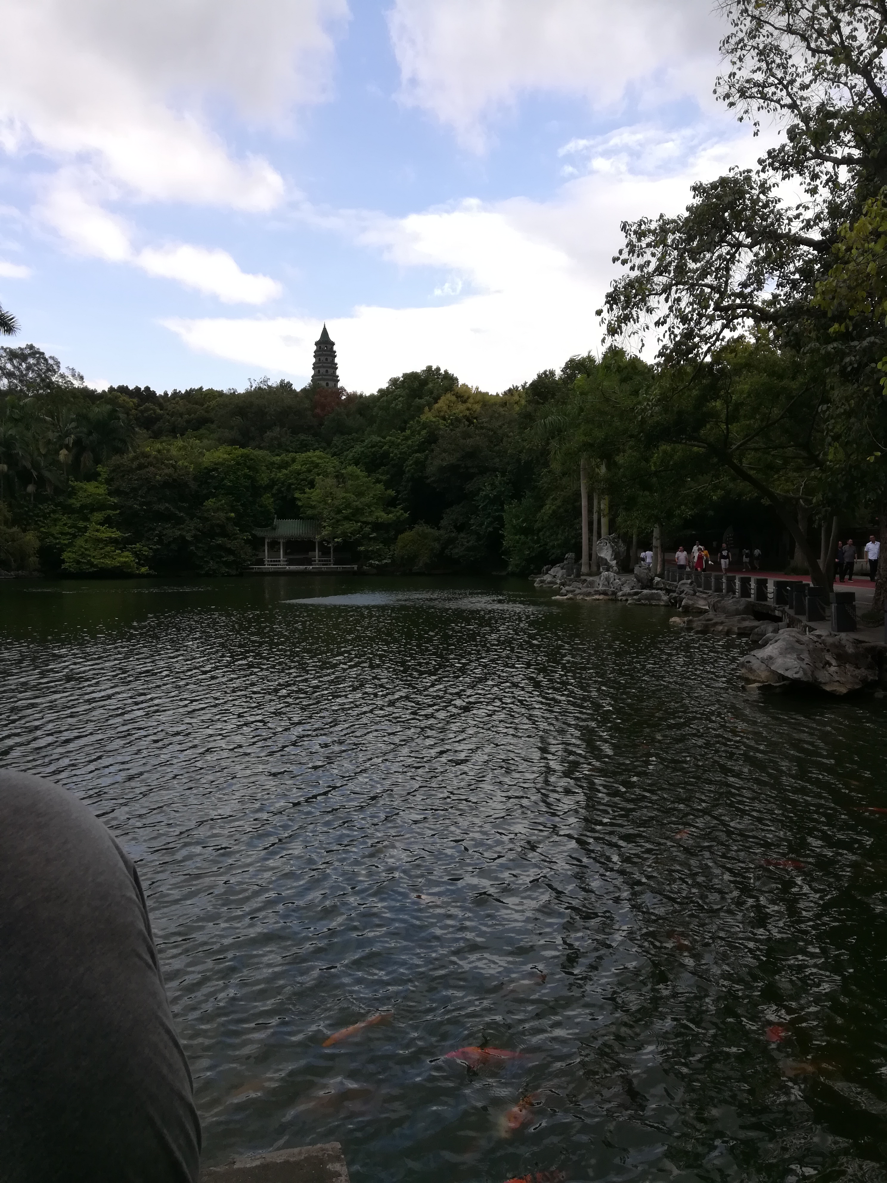 青秀山奇幻之旅,南宁2022奇妙之旅