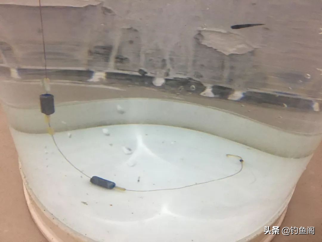 闹窝了正确钓法,怎样诱钓麦穗鱼