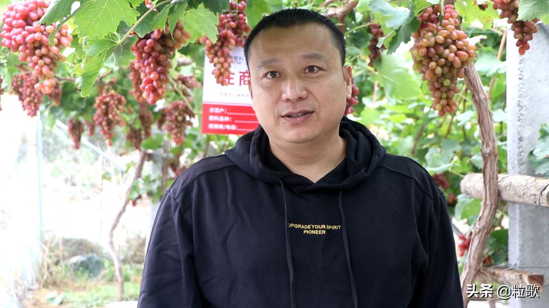 住商中农肥料怎么样,住商肥料助力精品农业