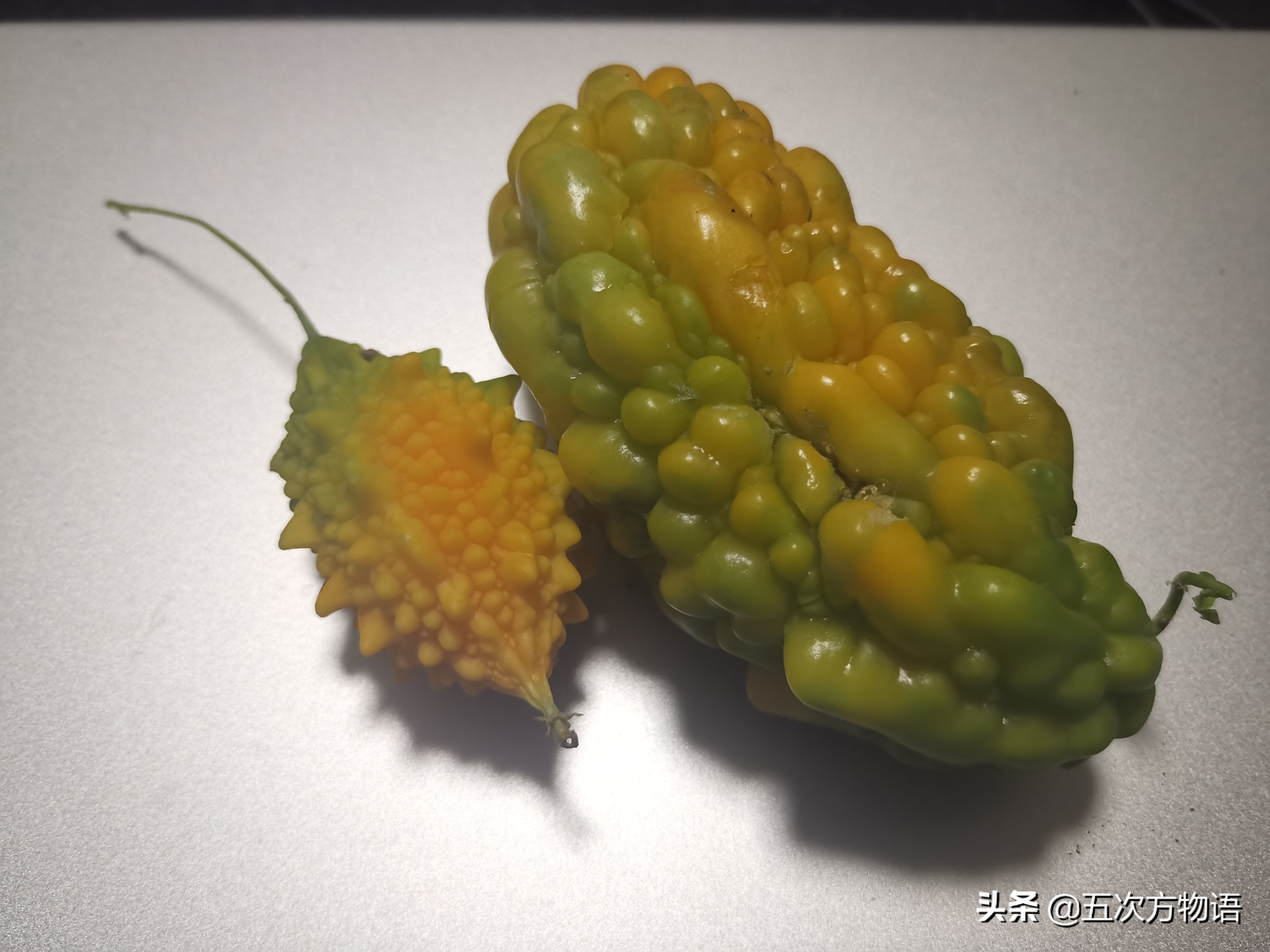 不管你承认与否,不管你承认不承认生活都得继续