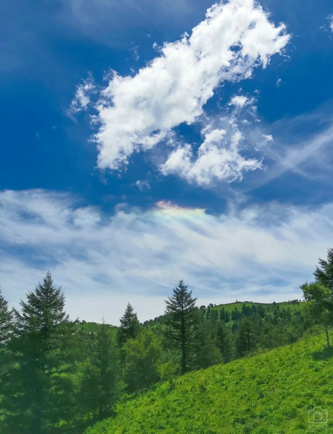 徒步穿越北驼梁完整版,穿越花海古道游记