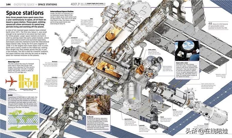 dk知识大百科全套,dk知识大百科书金银版