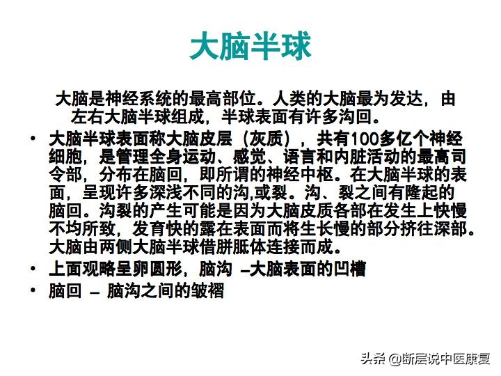 中枢神经系统断层解剖讲解,中枢神经3d解剖动画