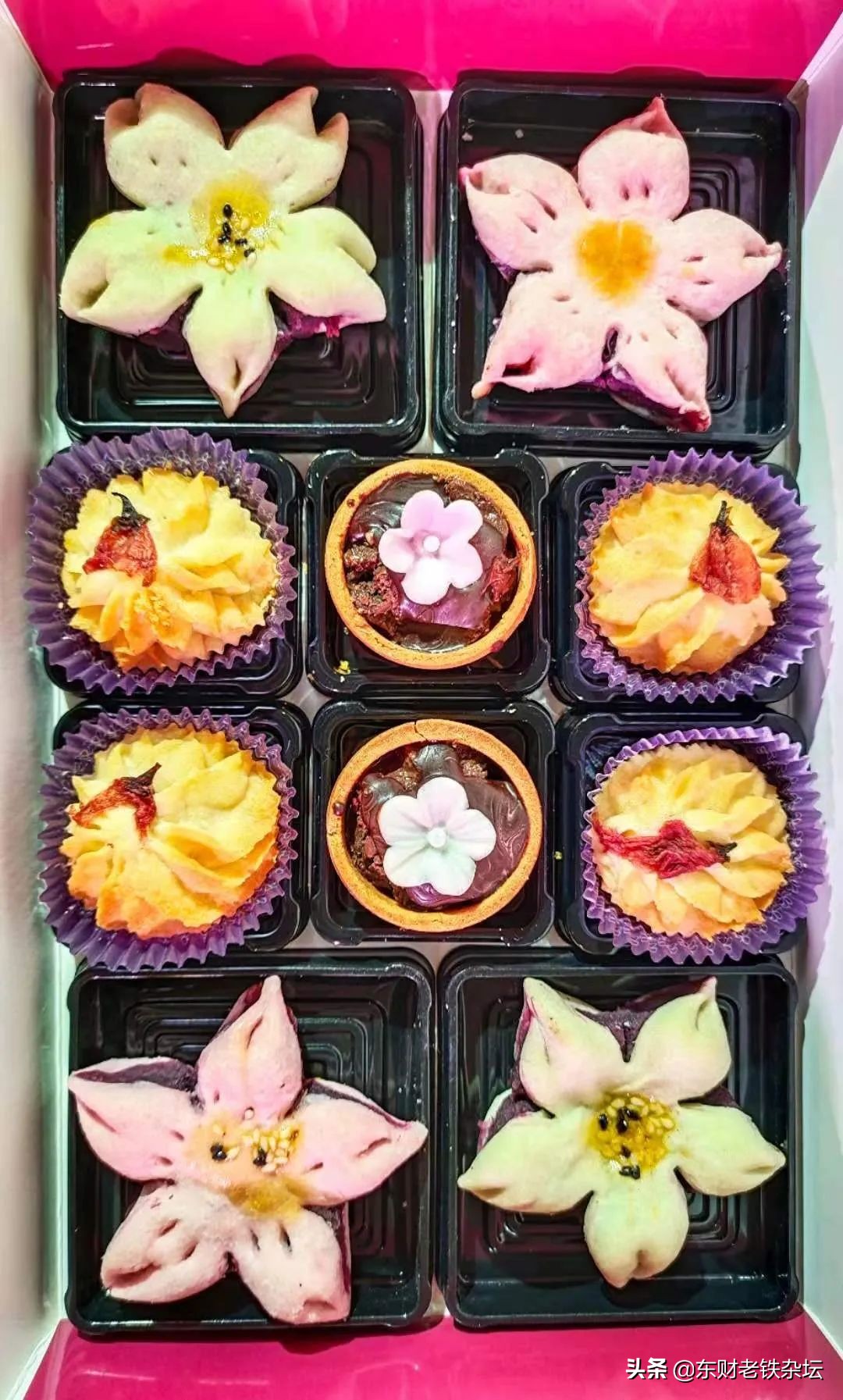 网红美景,网红一棵树樱花园