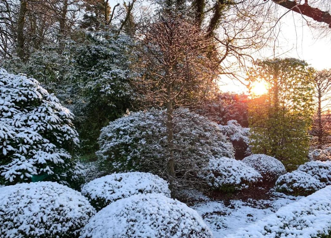 昨天比基尼！今天下雪！英国的天气能有多奇葩？