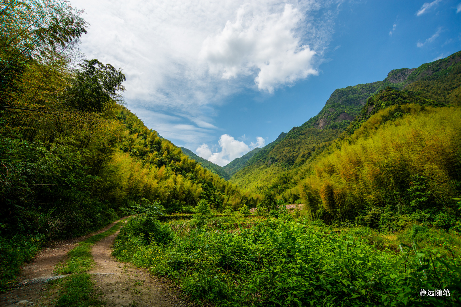 浙江富阳上官球拍有限公司,富阳上官乒乓球拍厂