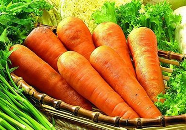 经常长痘该吃什么水果,一直长痘吃什么药都不管用