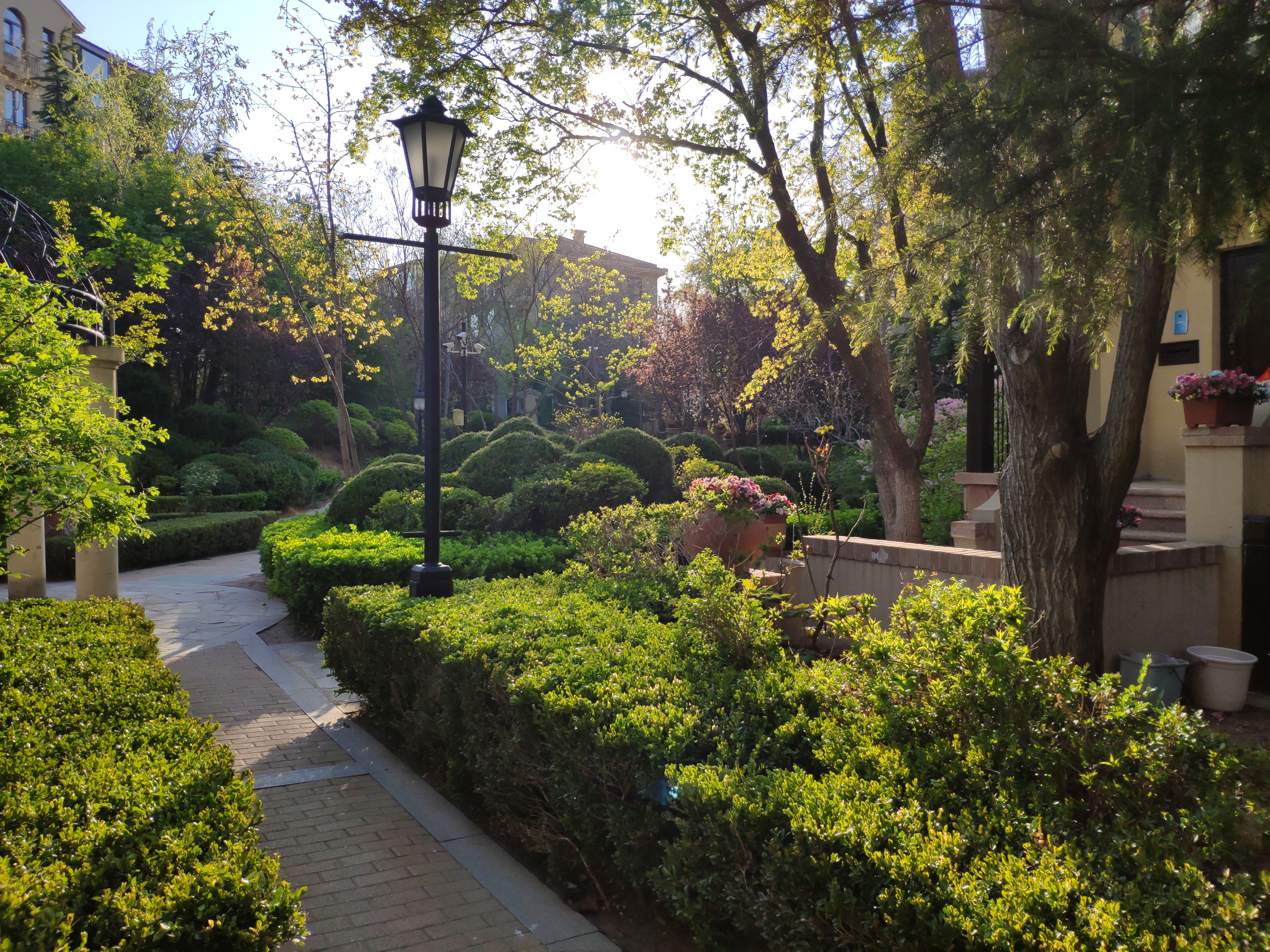 大连格致中学学区房一览表,2022大连格致中学学区内人数