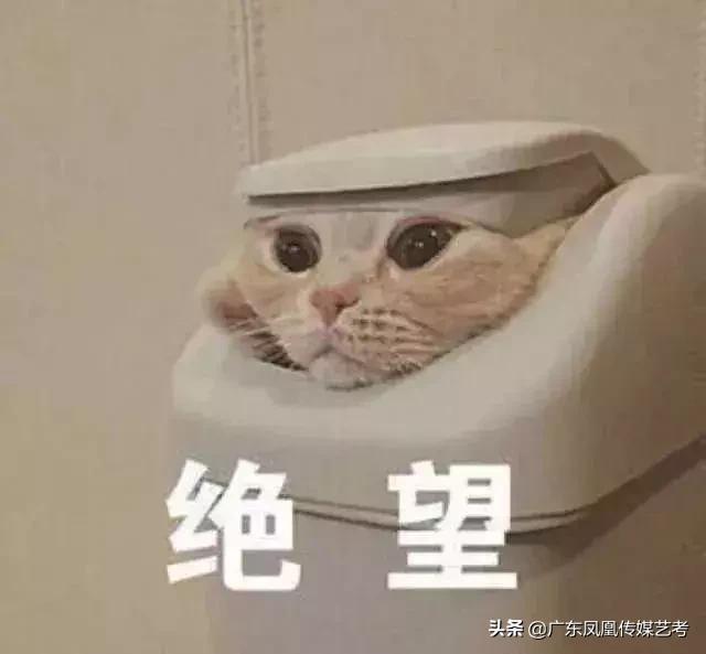 传媒艺考才艺展示舞蹈,艺考好学的非语言类才艺展示