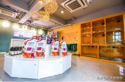 派多格临汾加盟,派多格加盟