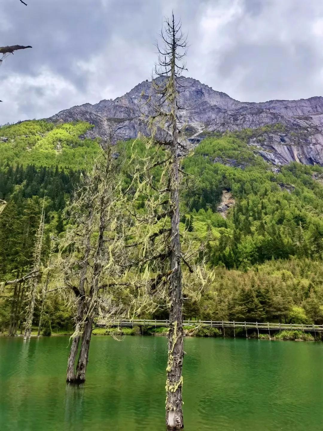 川西自驾游四姑娘山5月底,川西行第一集两岁挑战四姑娘山