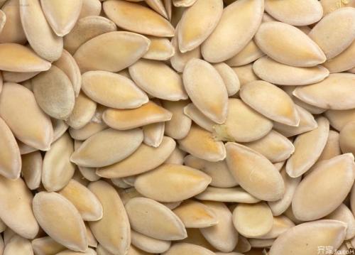 蔬莱种子新种子好还是陈种子好？如何鉴别和使用？看完你就知道了