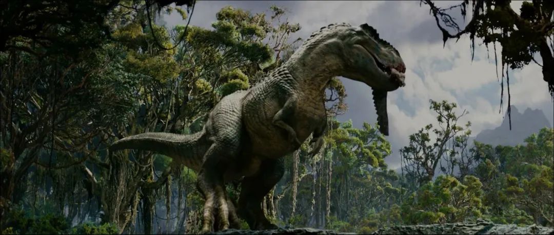 金刚票房最终多少亿,金刚票房为什么那么烂