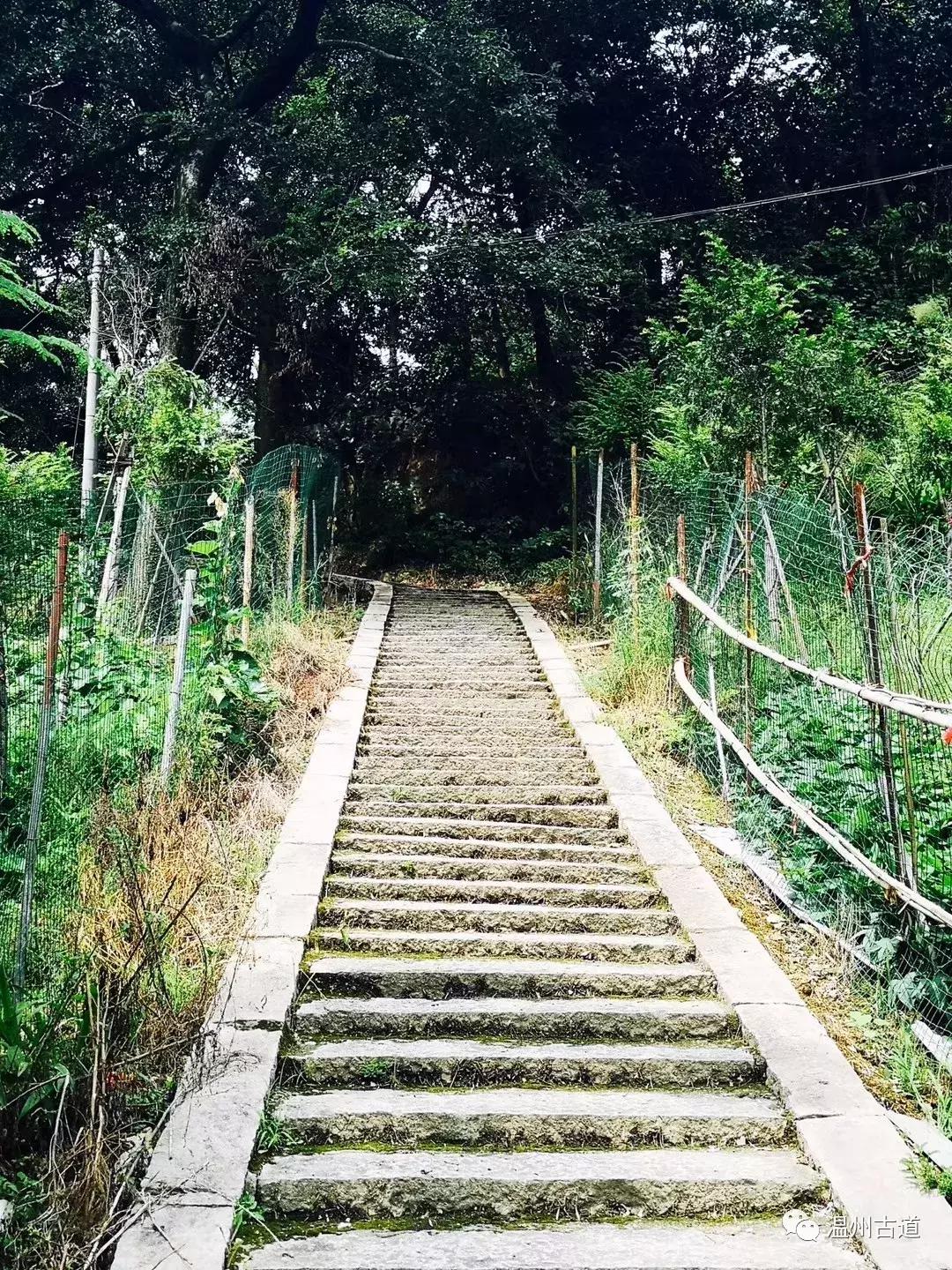 千年古村平阳县鸣山村古城夜景,平阳昆阳鸣山古村落