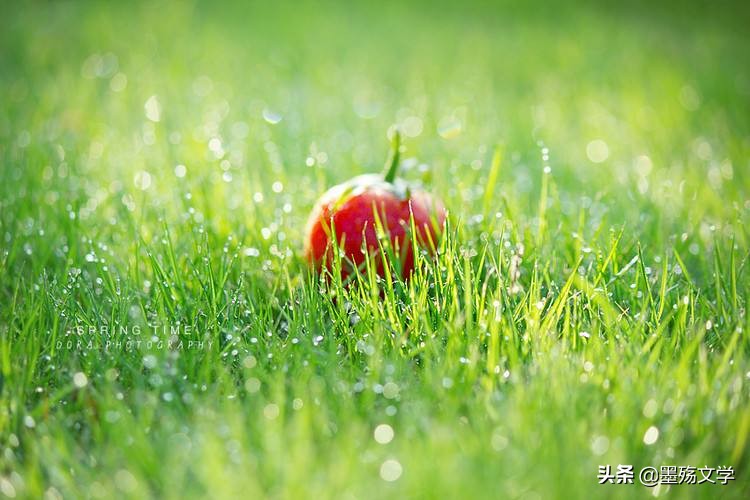 爱了伤了谁,受过的伤还能爱谁