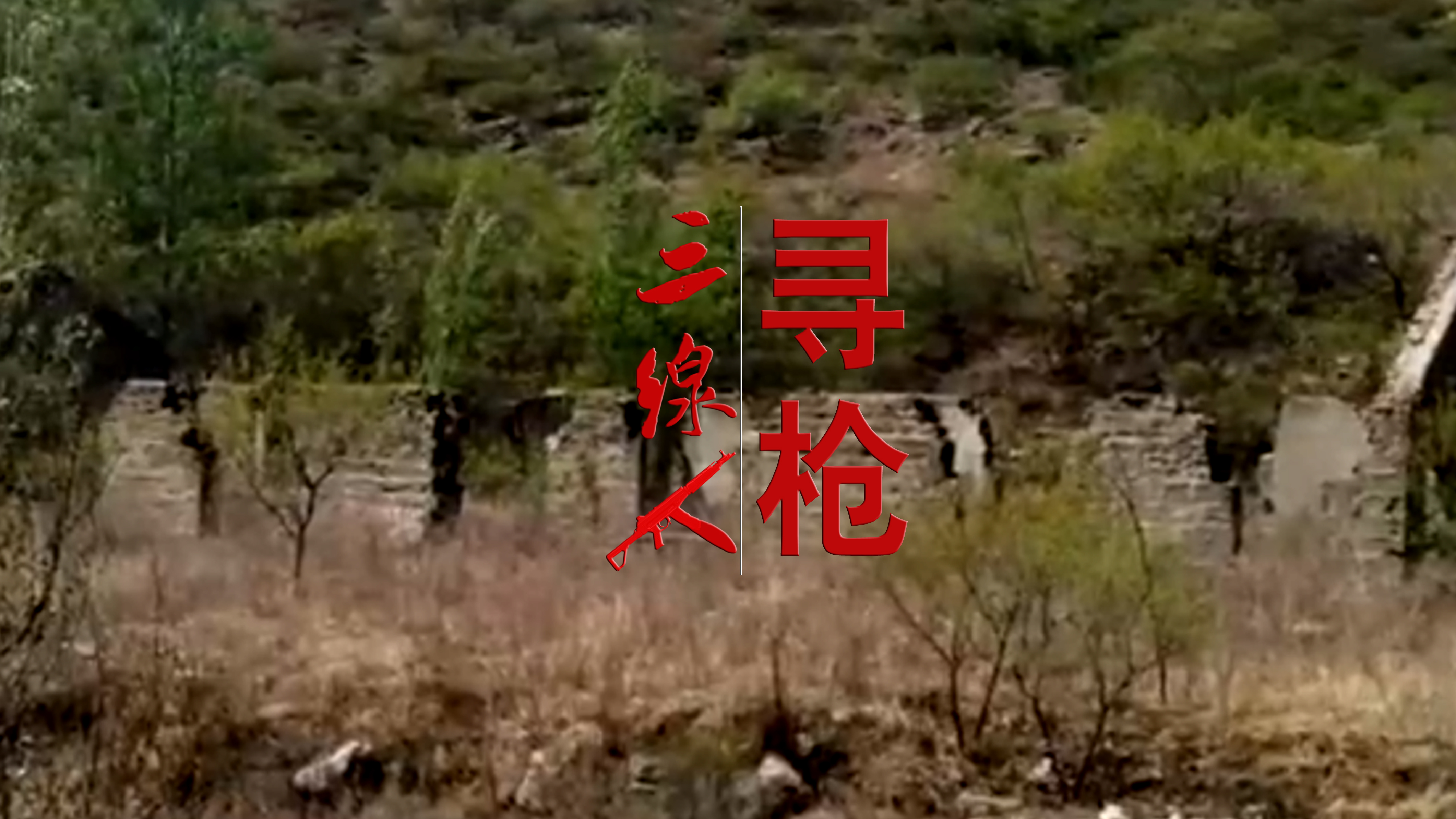 寻枪真实事件,中国十大神秘兵工厂代号