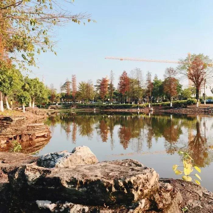 广州的这8个小岛，人少又免费，适合大小情侣的去处