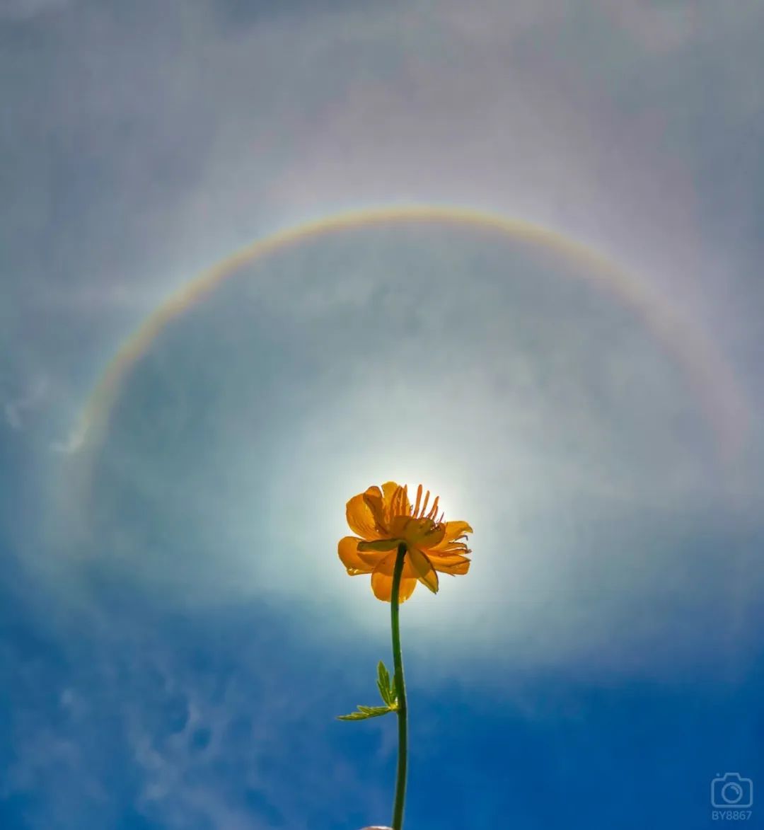 徒步穿越北驼梁完整版,穿越花海古道游记