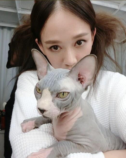 世界上最致命的猫黑足猫,世界十大奇特的猫你见过哪一种