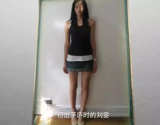 刘雯个人资料简介及男友,刘雯没谈过恋爱吗