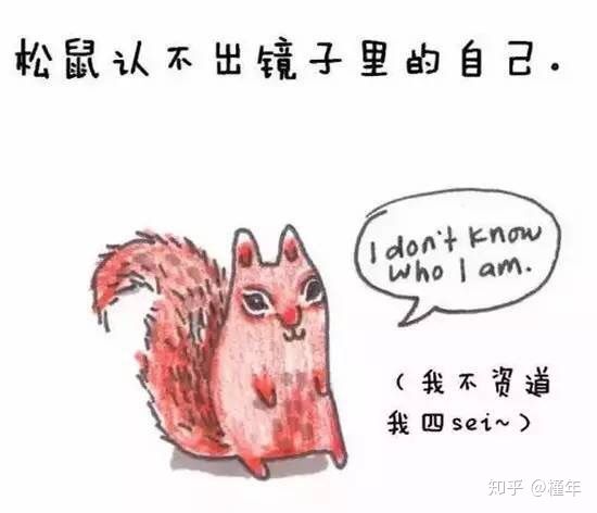 想象中不一样的动物冷知识,悲伤的动物视频