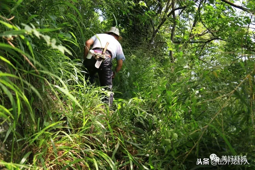 舒城县五显镇石关风景区,舒城石关风景游玩攻略