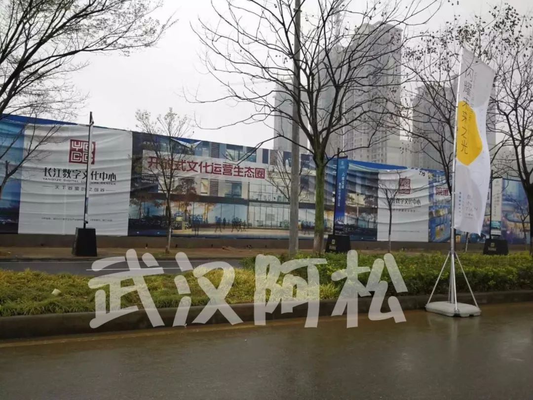 开挂了！比肩世界的爆款区域利好多到数不清！一般人已高攀不起