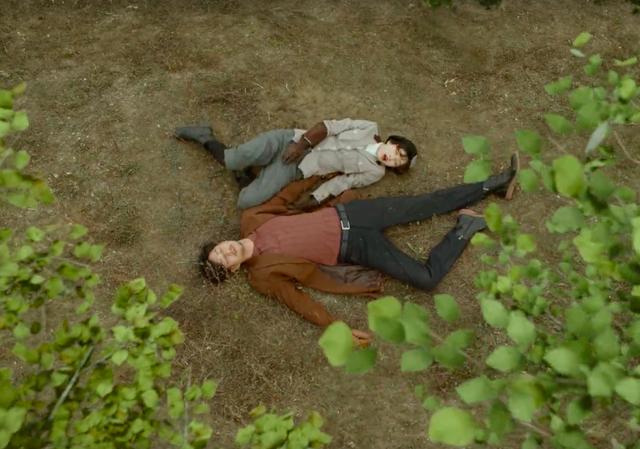 又被骗了原版,又被骗了感情又骗了钱