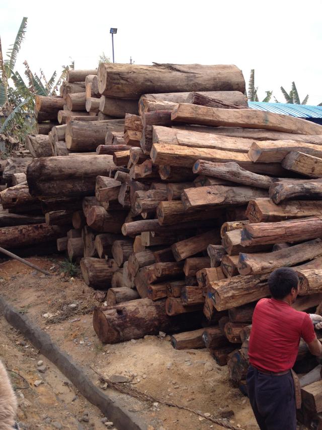 有些人买不起红木家具就说不好看,越来越多人不想买房子