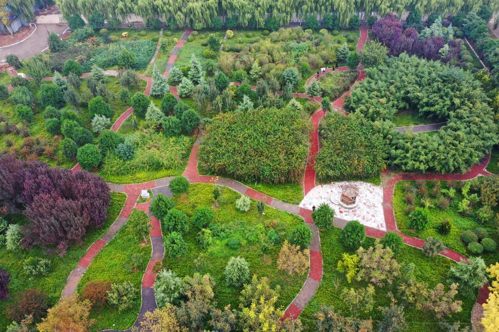 最新邯郸职业学院,逛邯郸职业技术学院