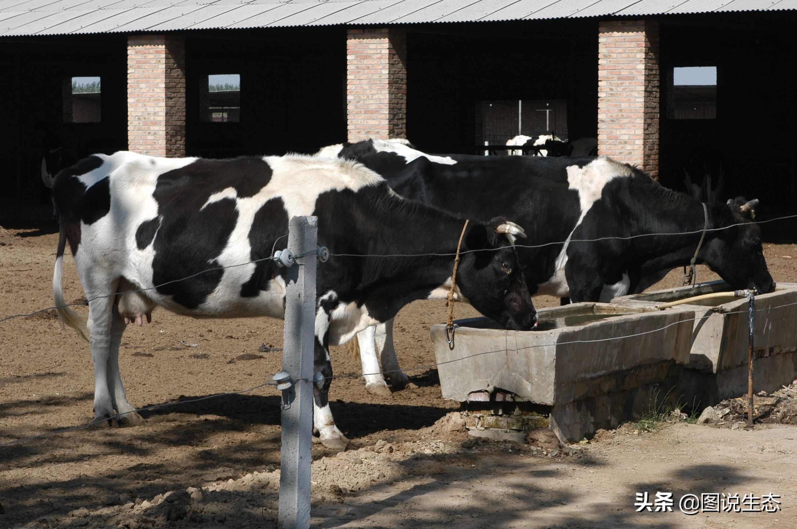 20年风雨治沙路，绿水青山秀丰宁