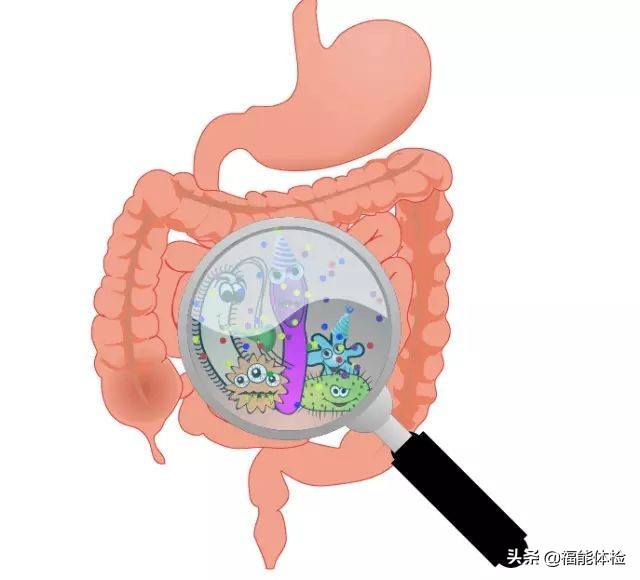 肠镜前清肠的正确方法,做肠镜前清肠的正确方法