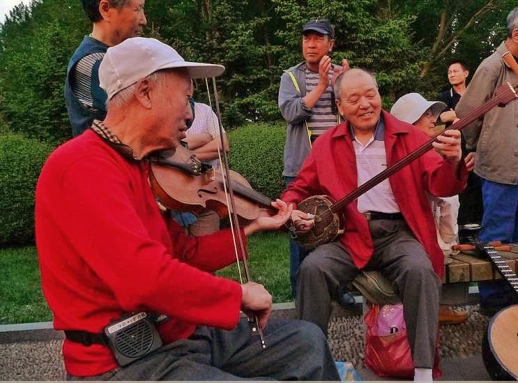 荷兰的郁金香为什么被称为国花,郁金香在荷兰有多高贵