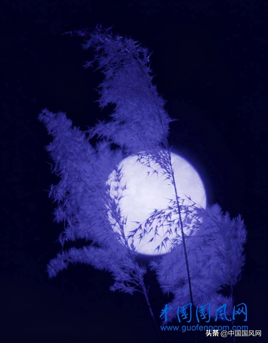 诗经国风邶风凯风解读,诗经邶风日月图片