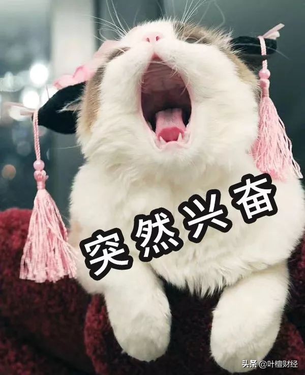 这类产品就是一个大忽悠！买了就坐等爆雷