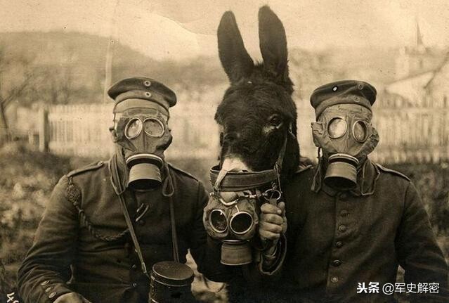 一战时的毒气战到底有多惨,毒气战精彩片段