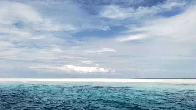 应届毕业生职业规划师,毕业4年找工作