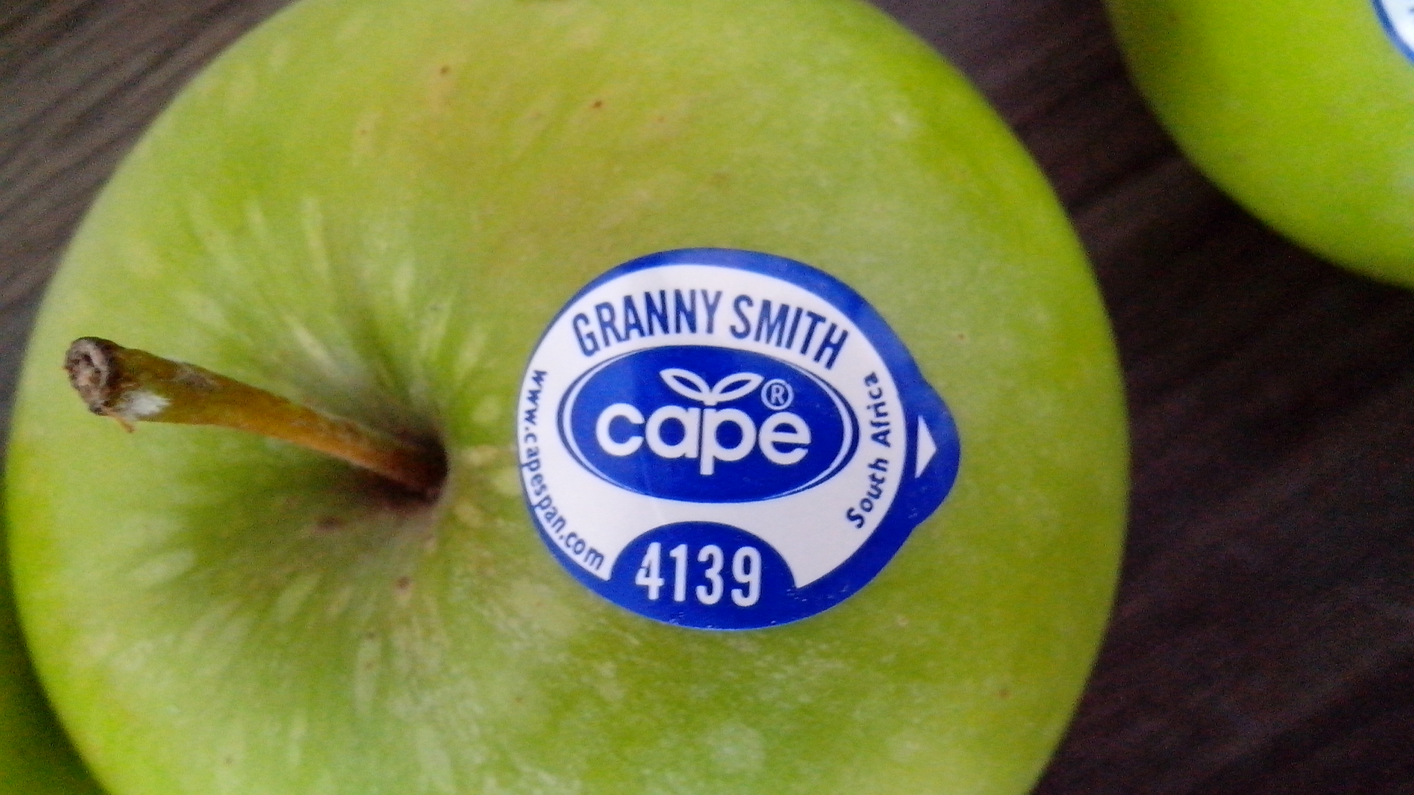 德国男人的真正面目,德国男人严谨的习惯